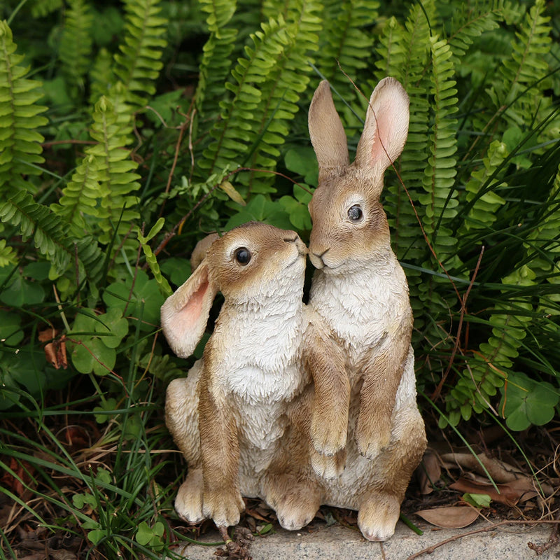 Casal Fofo de Coelhos