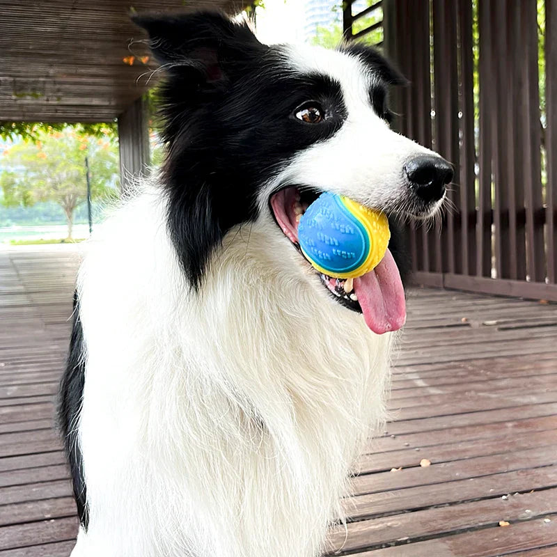 Bola para Cães - Resistência à mordida