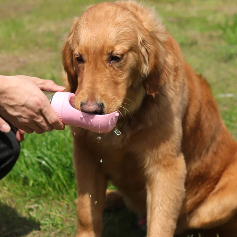 Garrafa portátil para Cães - 2 em 1