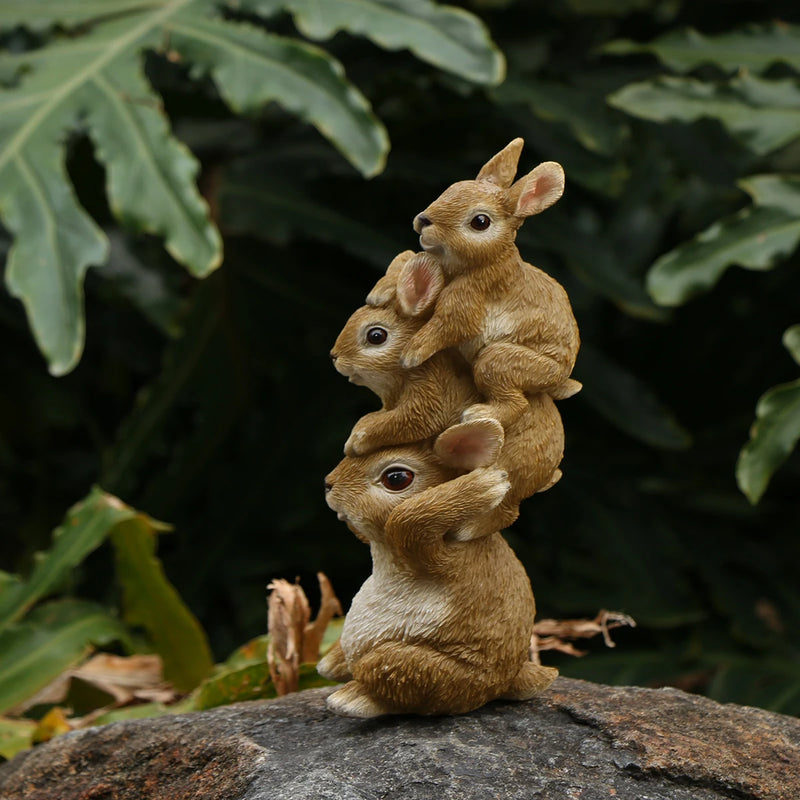 Casal Fofo de Coelhos