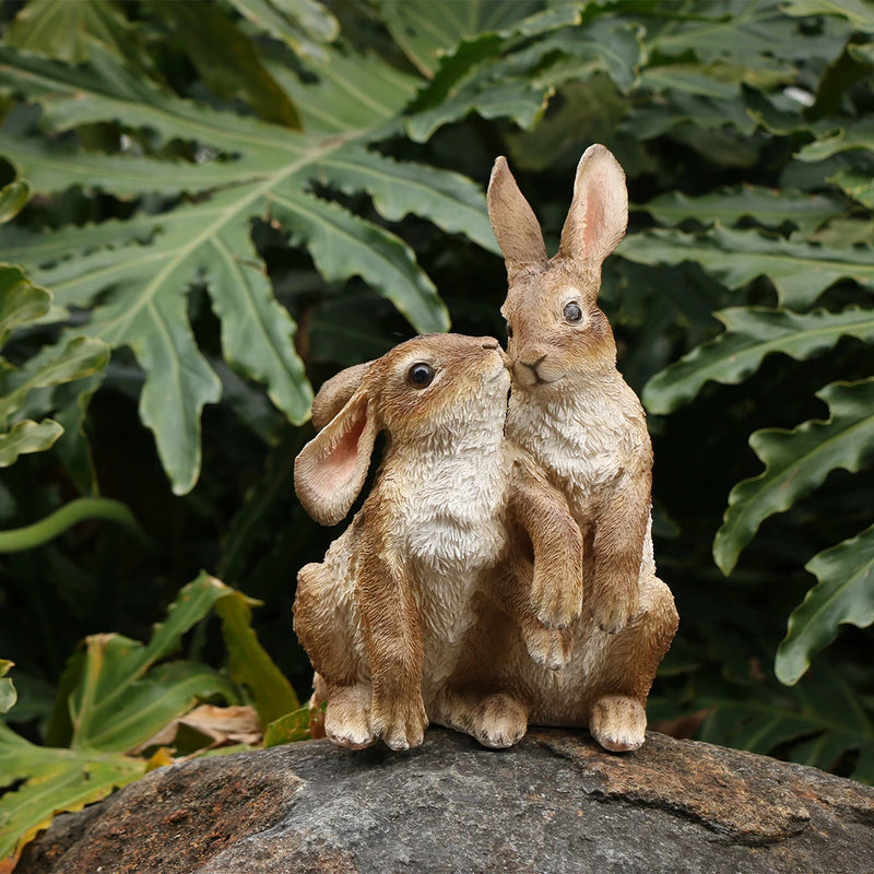 Casal Fofo de Coelhos
